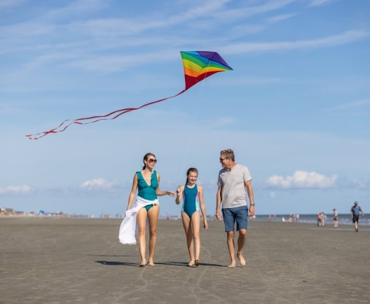family flying a kite on the beach