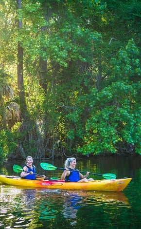 people kayaking