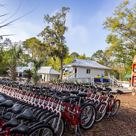 rental bikes lined up outdoors