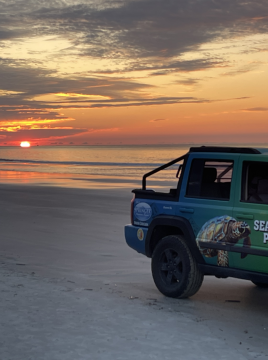 Sea Turtle Patrol Truck with sunset 