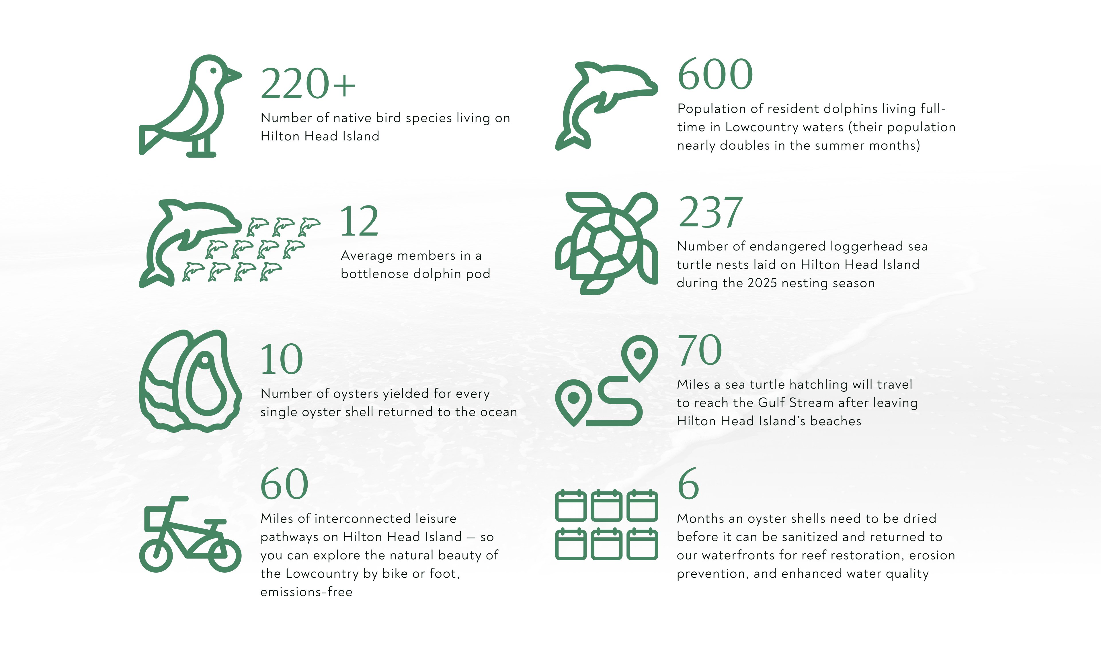 infographic on sustainability