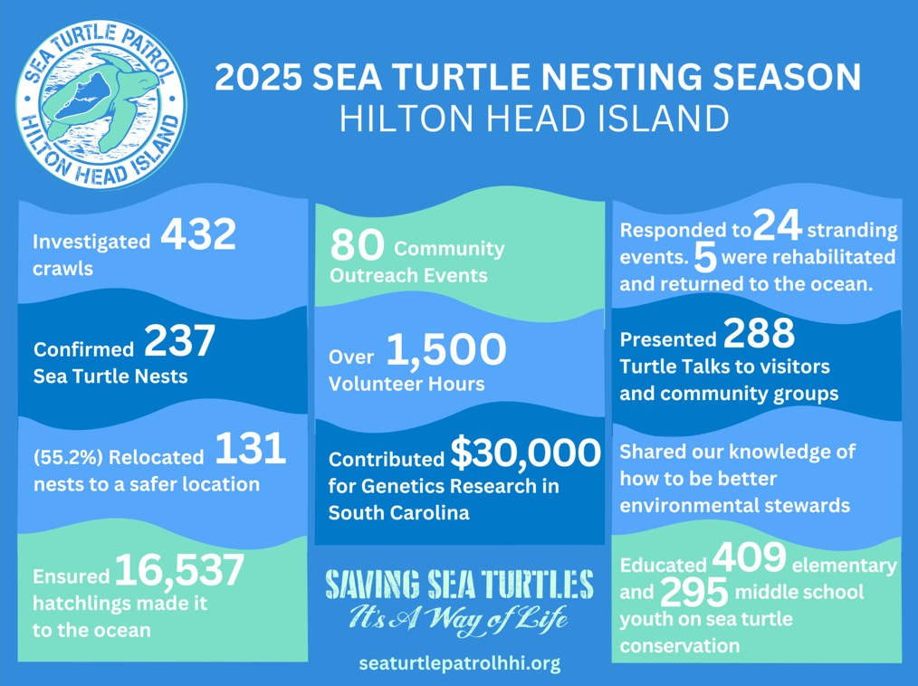 Sea Turtle Nesting Season Stats