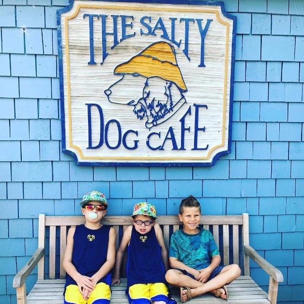salty dog cafe