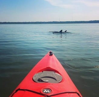 kayak