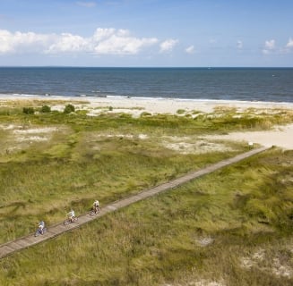 people biking on a pathway by the beach