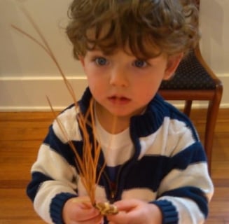 sweet grass