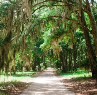 HHI Trees