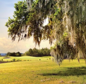Landscape of golf green
