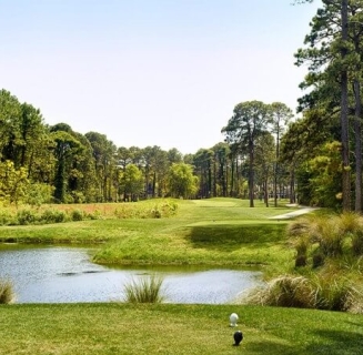 Robert Cupps hole 11