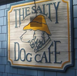 salty dog