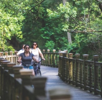 people riding bikes