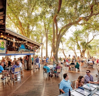 groups of people dining outdoors