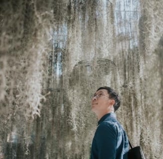 man looking at tree