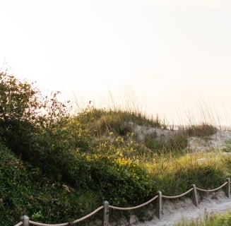 Path to beach