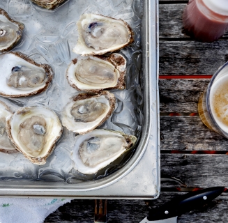 Oysters on table 