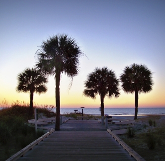 beach at sunrise 