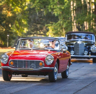 Lowcountry Driving Tour