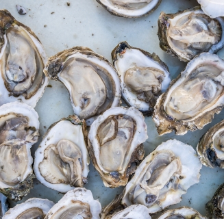 Omni - Seafood Festival