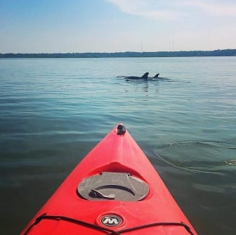 kayak