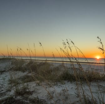 beach with grass