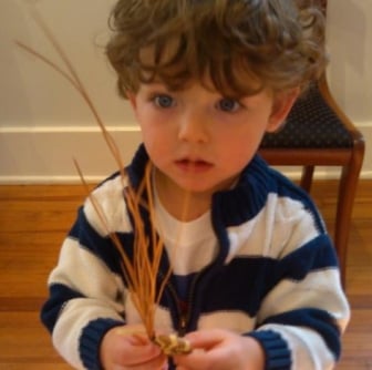 sweet grass