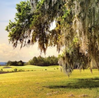 Landscape of golf green