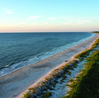 aerial shot of beach 