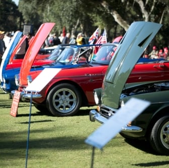 concours hoods up showcase