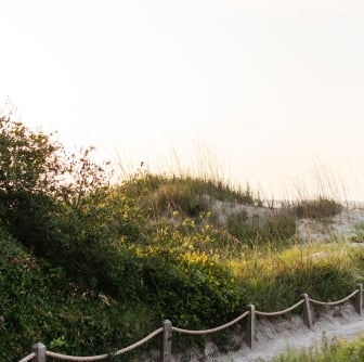 Path to beach