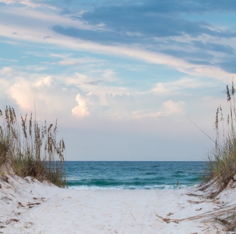 Serene photo of the ocean from natural sand dunes and sea grass.