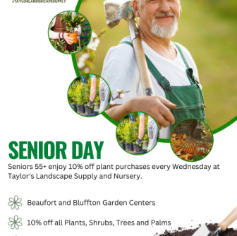 Senior Wednesday - Senior Wednesday