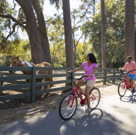 two people on bikes riding past a horse
