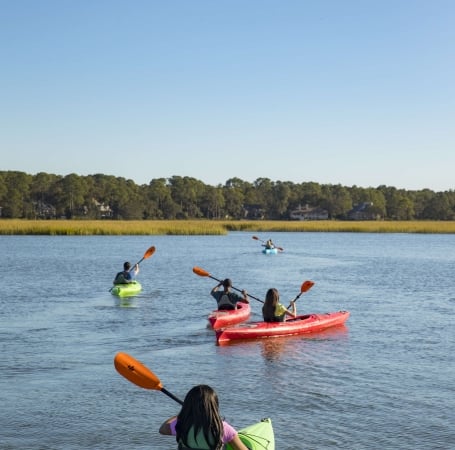 four people in kayaks on the water