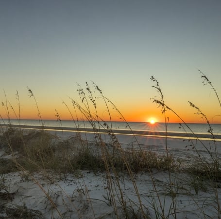 beach with grass