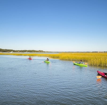 people in kayaks