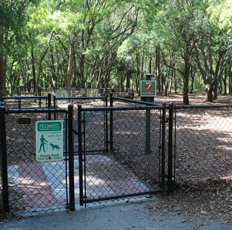 dog park