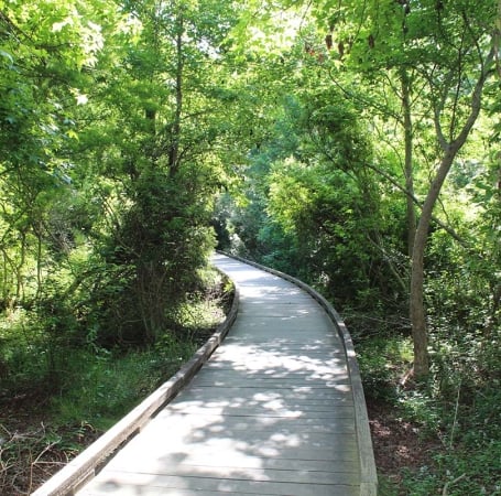 jarvis creek park