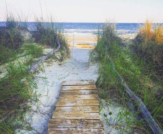 @alisavage_ - beach.