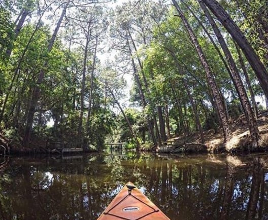 kayak