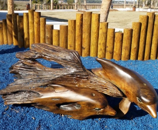 dolphin park