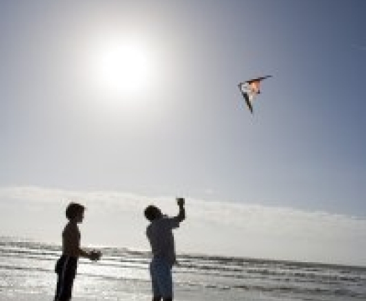 kite