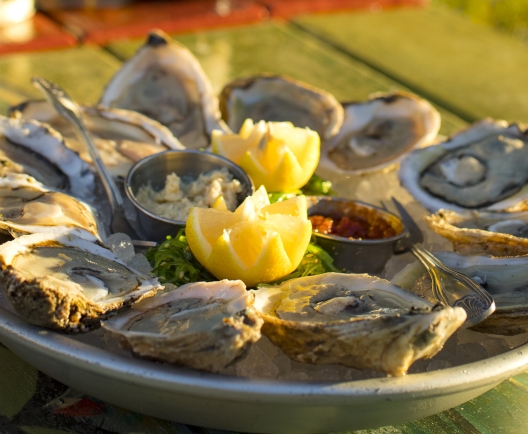 oysters on a plate