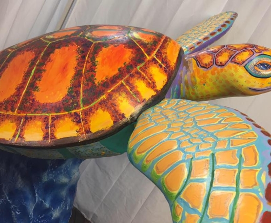 turtle