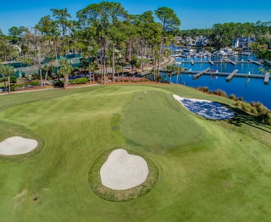 aerial view of a golf green