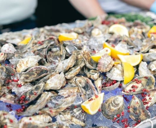 oysters and lemon garnish
