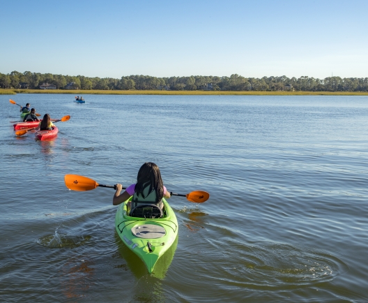 people out kayaking on a sunny day