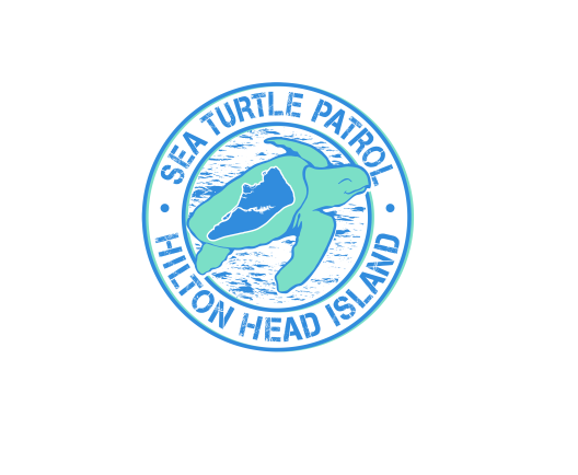 turtle patrol