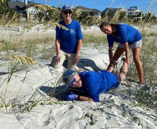 sea turtle patrol on beach