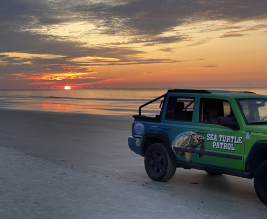 Sea Turtle Patrol Truck with sunset