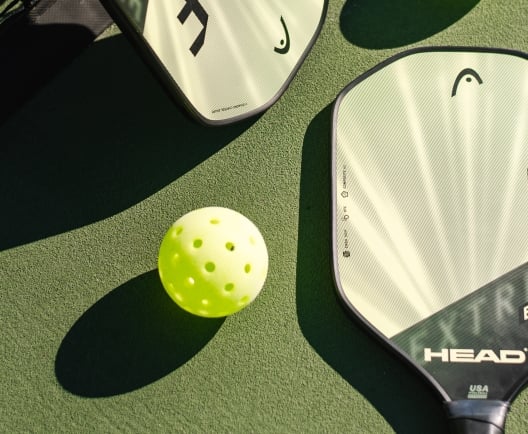 pickleball paddles and net